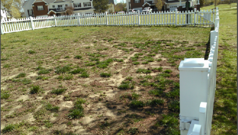 dog-park-1