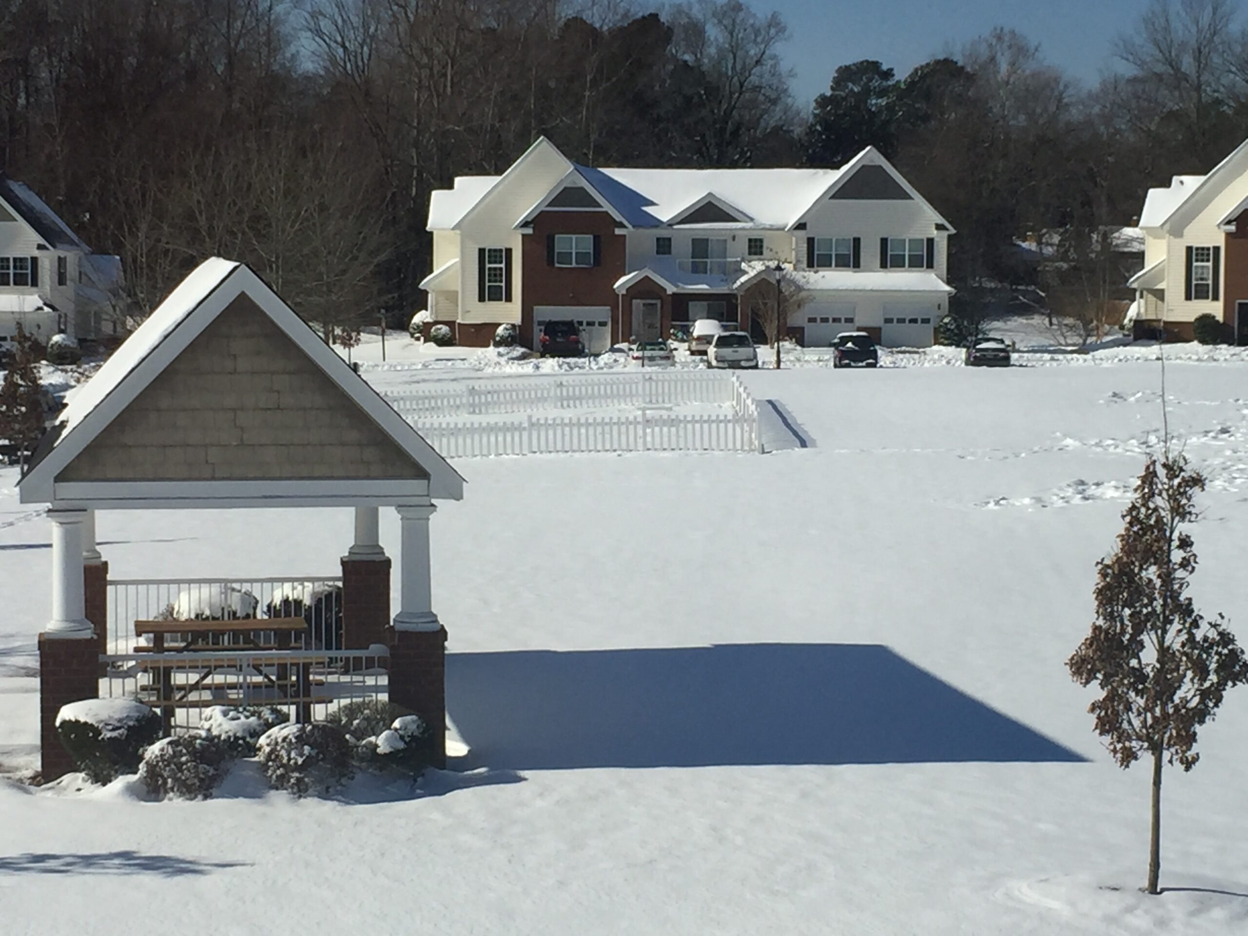gazebodogparksnow