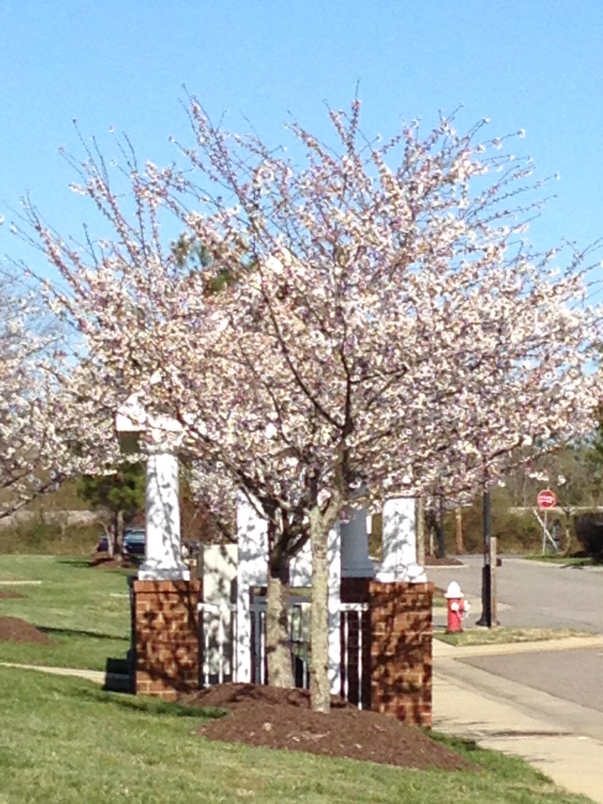 mailbox-kiosk-copy